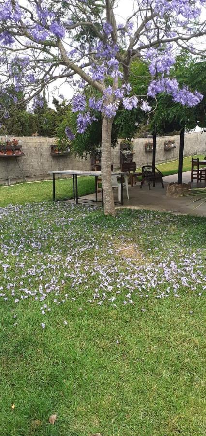 Casa Rural Carme De Nelis Deltebre Bagian luar foto