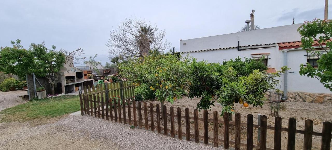 Casa Rural Carme De Nelis Deltebre Bagian luar foto